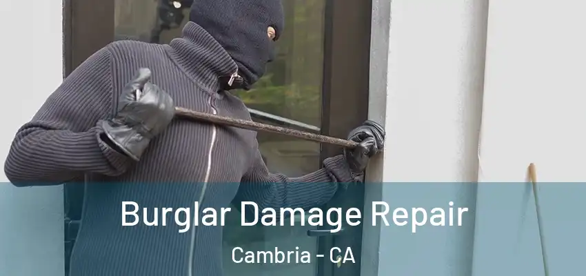 Burglar Damage Repair Cambria - CA