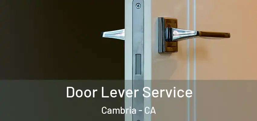 Door Lever Service Cambria - CA